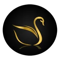 SOLVEDISA PROGRAMMING SOLUTIONS