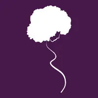 Black Mamas Matter Alliance, Inc. (BMMA)