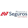Proyectos y Seguros S.A.