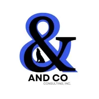 And Co Consulting, Inc.