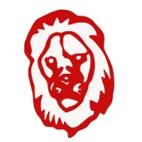 Lion Solution Srl Lion Solution Srl