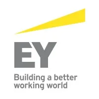 UMT Consulting Group (acquired by EY)