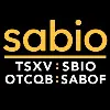 Sabio Holdings Sabio Holdings