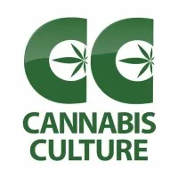 Cannabis Culture