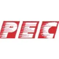 Power and Energy Consultants India Pvt. Ltd.