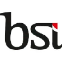 BSI Capital Group BSI Capital Group