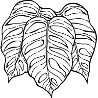 Alexandre Furcolin Paisagismo