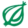 The Onion The Onion