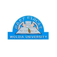 Woldia University