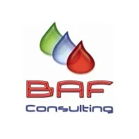BAF Consulitng SC