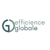 Efficience Globale Efficience Globale