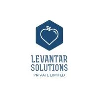 Levantar Solutions