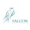 Falcon and Associates Falcon and Associates