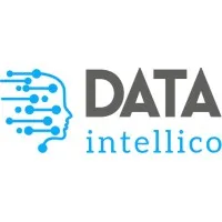Dataintellico LLC