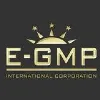 E-GMP International Corporation E-GMP International Corporation