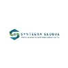 Syntegra Global Inc Syntegra Global Inc