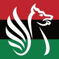 North Somerset Council