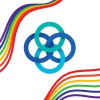 Sahin Consulting Inc.