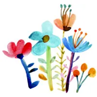 Azalea Montessori School