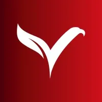 VERMILION GROUP VERMILION GROUP