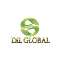 DIL GLOBAL CONSULTING 