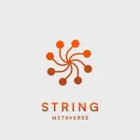 String Metaverse