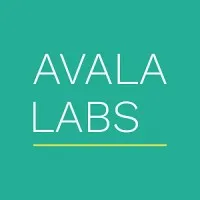 Avala Labs
