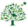 Forest & Bird Forest & Bird