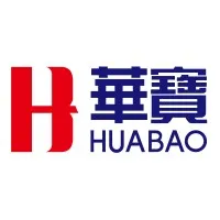 Huabao International Holdings Ltd 华宝国际控股有限公司