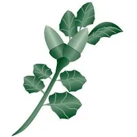 Puente Hills Habitat Preservation Authority