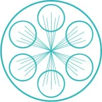 Vacuum Metallizing Limited Vacuum Metallizing Limited