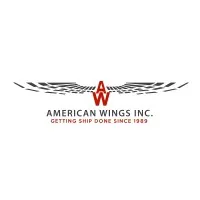 AMERICAN WINGS INC AMERICAN WINGS INC