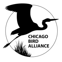 Chicago Bird Alliance