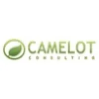 Camelot Consulting