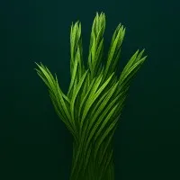Touch Grass Together Touch Grass Together
