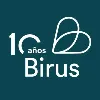 Birus Birus