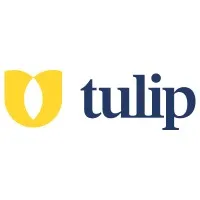Tulip Tulip
