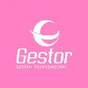 Gestor Consultoria Gestor Consultoria