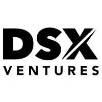 DSX Ventures