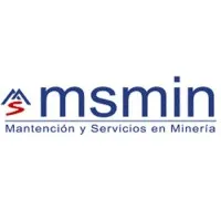 MSMIN Ltda.
