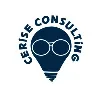 Cerise Consulting USA
