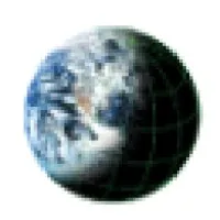 The Training Network