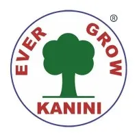Kanini technology Kanini technology