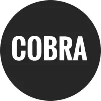 COBRA FIRING SYSTEMS, LLC COBRA FIRING SYSTEMS, LLC