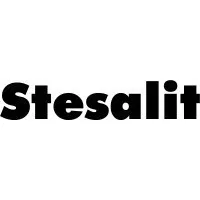 SSL Consulting (Stesalit Systems Limited)