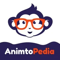 Animtopedia Creative Agency 
