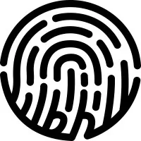 THE BLACK HOLE GROUP