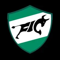 Finance and Investment Cell, SRCC