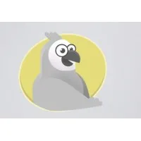 The Grey Parrots The Grey Parrots