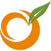 Level343, LLC An International Marketing & SEO Company